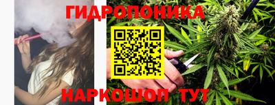 Альфа ПВП Ярославль