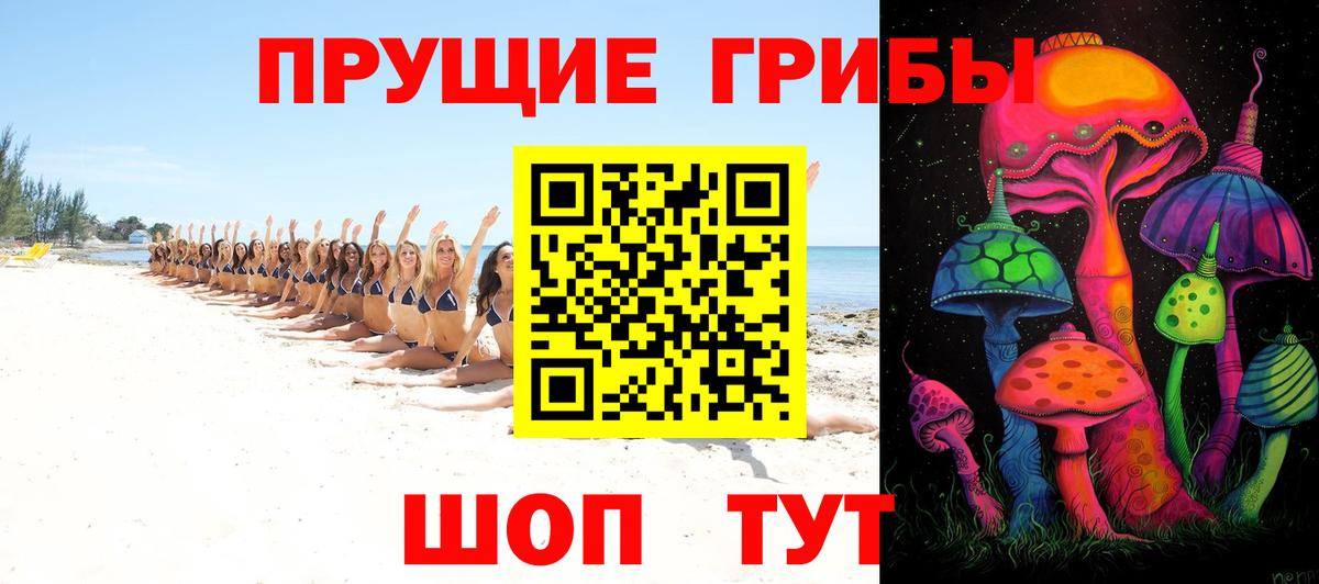 Галлюциногенные грибы GOLDEN TEACHER  Вход с VPN  Пушкино 